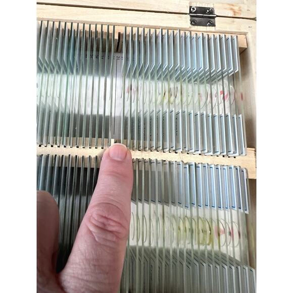 AmScope Specimen Collection Prepared Biology Microscope Slides - Picture 3 of 6